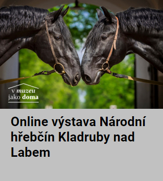 Online výstava Národní hřebčín Kladruby nad Labem